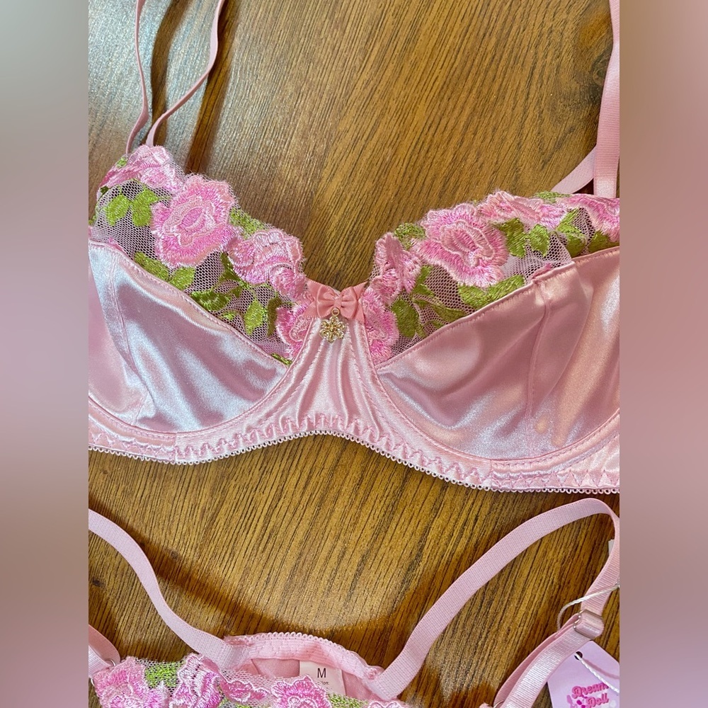 🎀🌷 Ethereal Pink Satin & Sheer Floral Embroidery Lace 2 Pc Lingerie Set 🌷🎀 NWT - Picture 4 of 13